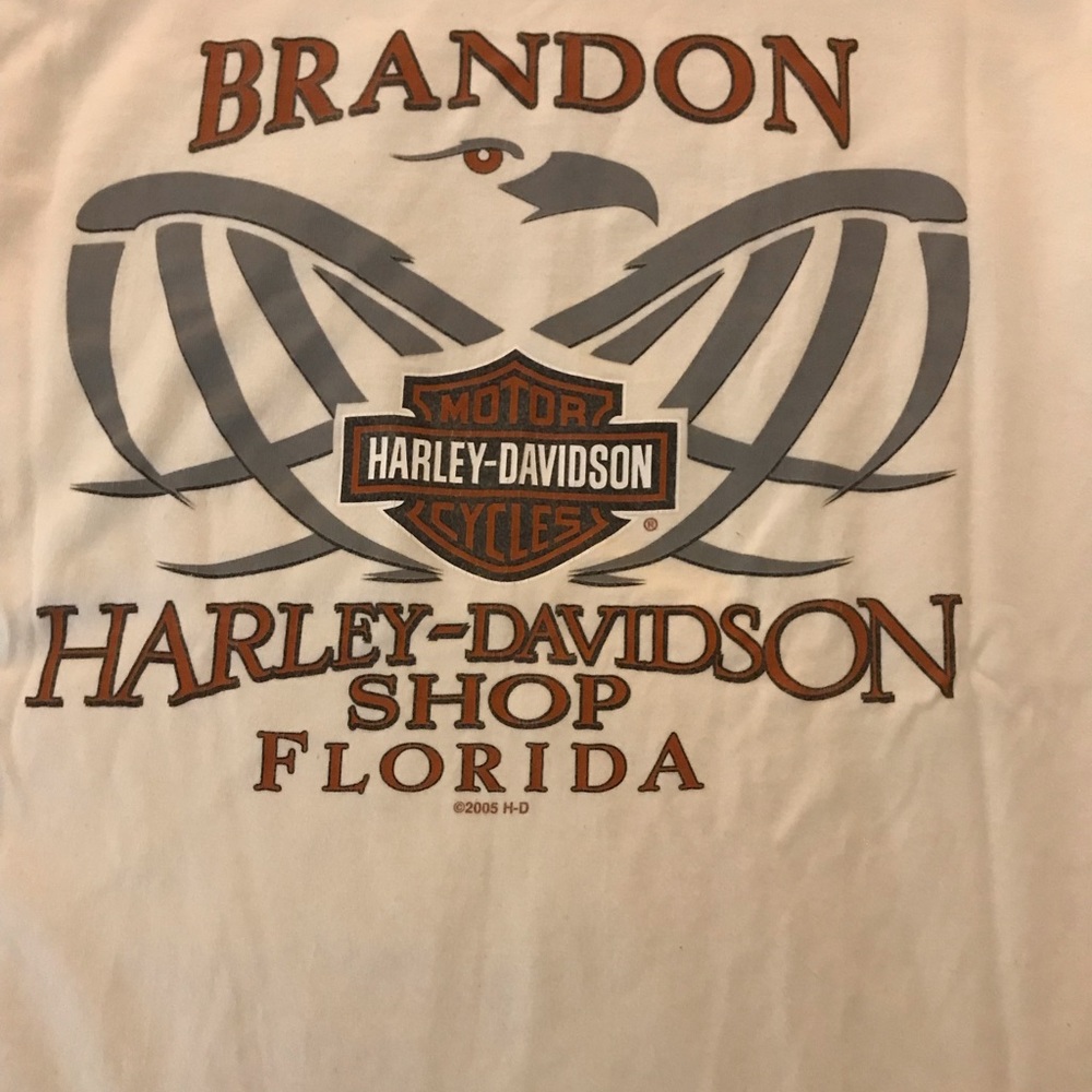 Harley Davidson L Brandon Florida